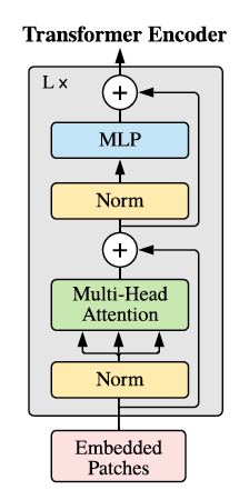 A basic ViT block